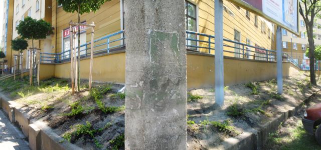3-jpg.jpg